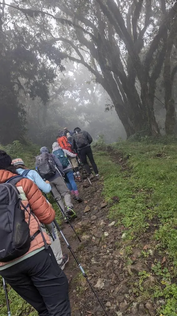 Mount Kilimanjaro trekking landscape